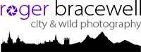Roger Bracewell Logo