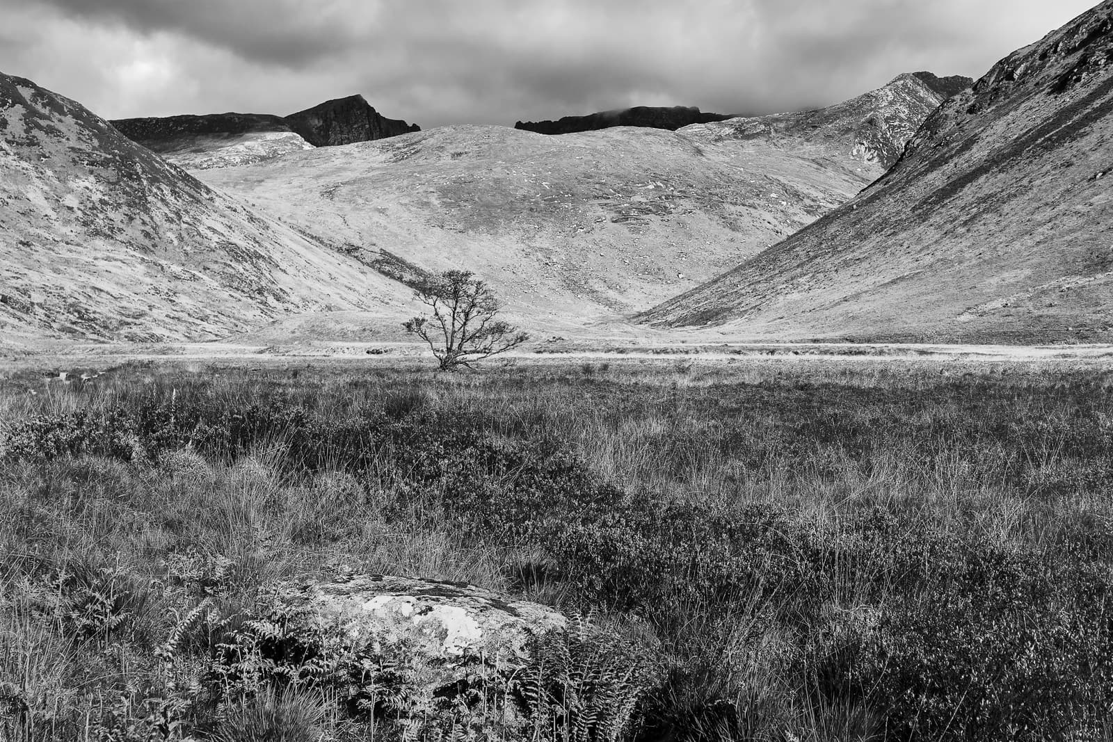 Glen Rosa | Isle of Arran