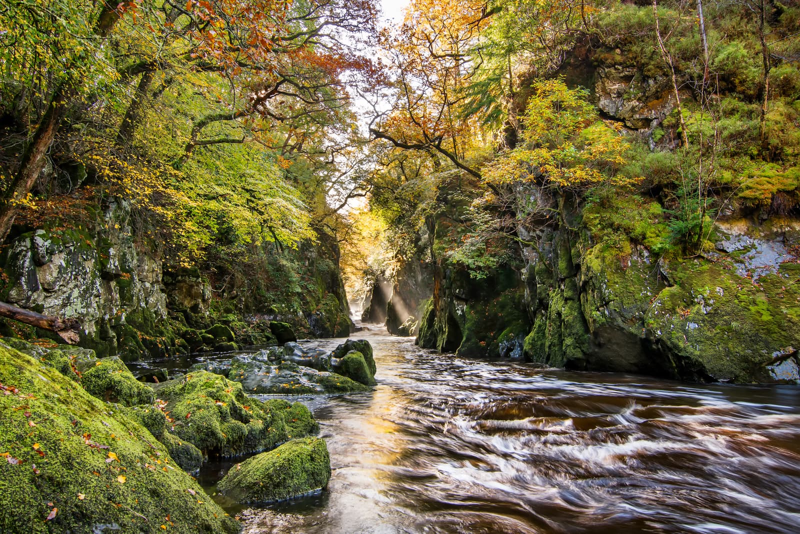 Fairy Glen | Eryri National Park (Snowdonia)