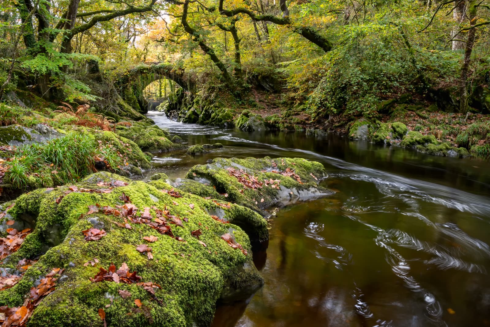 Roman Bridge | Eryri National Park (Snowdonia)