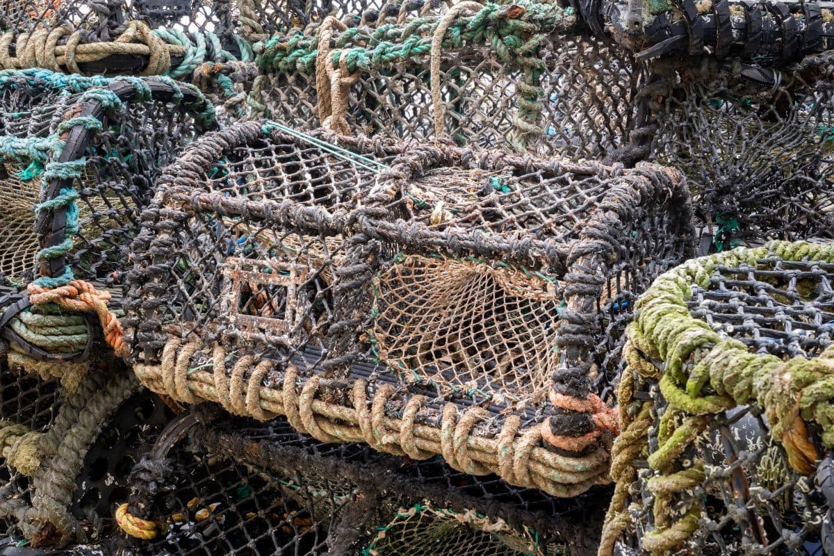 Lobster Pots | Salcombe
